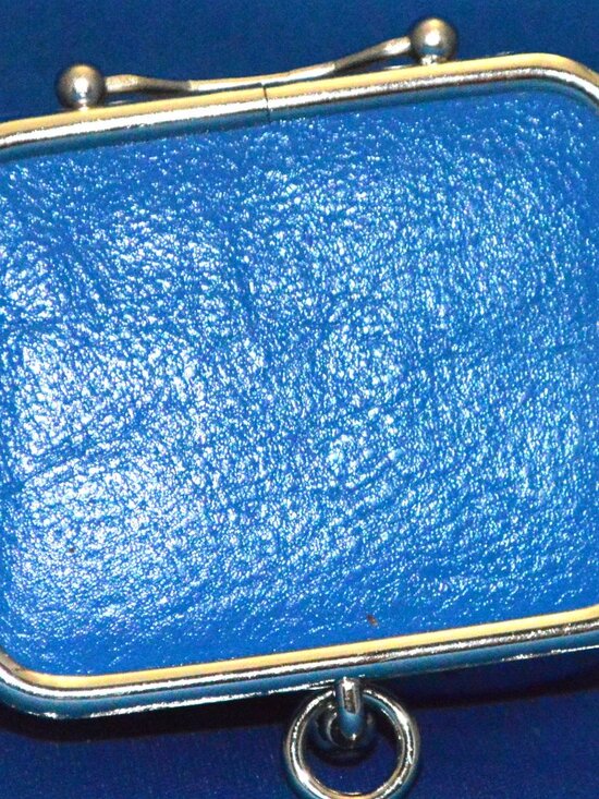 Danier Handbags - blue change purse